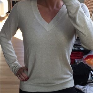 Banana Republic shimmer v-neck sweater